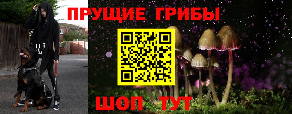 Галлюциногенные грибы MAGIC MUSHROOMS  Вход с VPN  Нефтекумск 