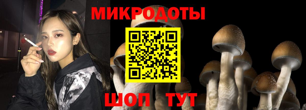 Галлюциногенные грибы мицелий Нефтекумск